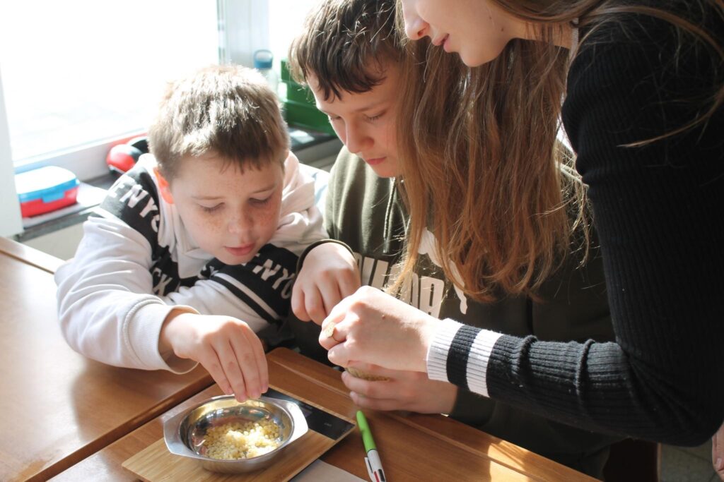 IMG-2305 (2)